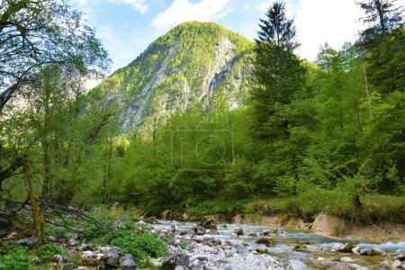 Photo for Lepenca stream in Lepena, Slovenia with a mountain in the Julian alps above - Royalty Free Image