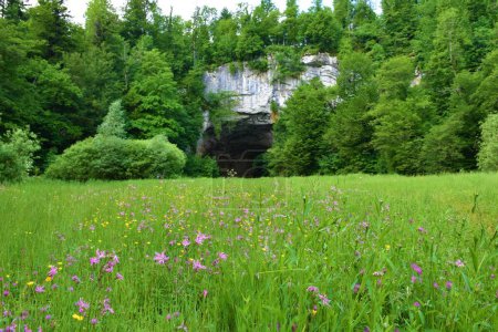 Photo for Big natural bridge in Rakov Skocjan, Notranjska, Slovenia and a meadow with pink ragged-robin (Silene flos-cuculi) flowers - Royalty Free Image