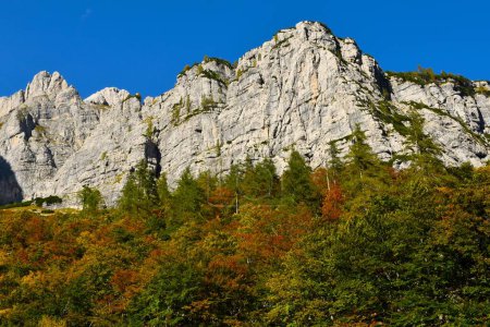 Foto de Montañas sobre Vrata en los Alpes Julianos, Gorenjska, Eslovenia y un bosque de colores otoñales abajo - Imagen libre de derechos