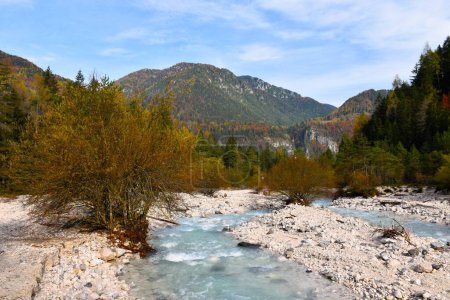 Téléchargez les photos : Ruisseau Martuljek près de Gozd Martuljek et chaîne de montagnes couverte de forêts dans les montagnes Karavanke, Gorenjska, Slovénie en automne - en image libre de droit