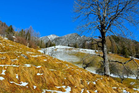 Téléchargez les photos : Pics enneigés dans les montagnes de Karavanke avec des pâturages en contrebas à Gorenjska, Slovénie - en image libre de droit