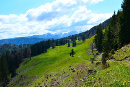 Die Alm in den Karawanken unterhalb des Hruski vrh in Gorenjska, Slowenien im Frühling