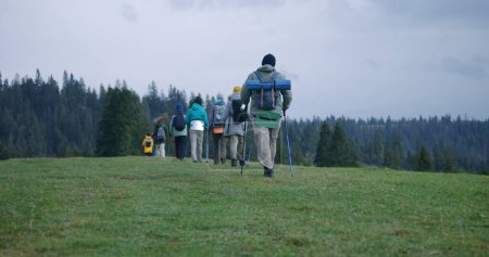 Photo for Group of tourists with backpacks and trekking poles walk along trail on beautiful mountain hill. Hikers discover amazing nature landscapes. Tourism and active leisure concept. Slow motion. Back view. - Royalty Free Image