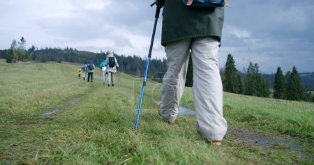 Photo for Following shot of group of tourists with backpacks and trekking poles walking on trail near forest. Hikers during trek or expedition in mountains on their vacation. Tourism and outdoor exploration. - Royalty Free Image