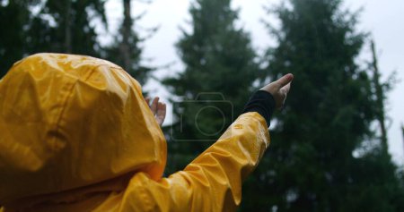 Photo for Cinematic shot of young hiker wearing yellow raincoat catching raindrops in the woods and enjoying nature. Traveler stands in the rainy coniferous forest during trek in the mountains. Slow motion. - Royalty Free Image