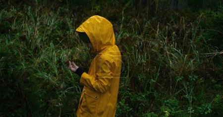 Photo for Cinematic shot of young traveler in yellow raincoat walking in the rainy coniferous forest during expedition to the mountains. Girl touches grass on wet log in woods. Nature discovery. Slow motion. - Royalty Free Image