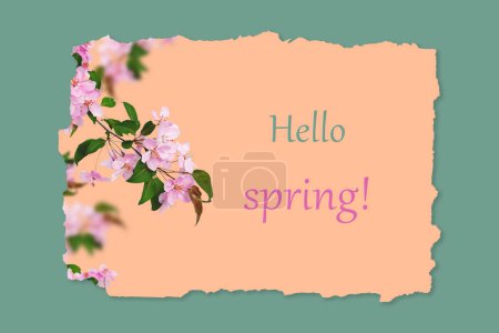Foto de Una maqueta creativa de primavera. Ramas con flores de manzano rosa sobre fondo beige. Fondo principal de color verde. Espacio para el texto y la capacidad de eliminar o reemplazar una cita. - Imagen libre de derechos