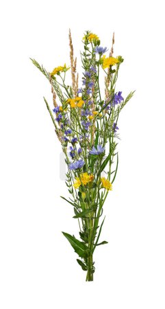 Sommerstrauß von Wildblumen und Kräutern isoliert auf weißem Hintergrund. Gelbe und blaue Wiesenblumen. Element zur Erstellung von Designs, Karten, Mustern, Blumenarrangements, Einladungen.