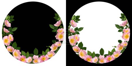 Floral arrangement with rosehip flowers in round frame isolated on white and black background. Element for creating  wedding invitations, postcards, greeting cards, design of round drink coaster.