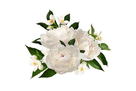 Arreglo floral de peonía blanca y flores de jazmín aisladas sobre un fondo blanco. Elemento para crear diseños, tarjetas, patrones, arreglos florales, tarjetas de boda e invitaciones.