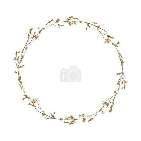 Round frame of delicate dried wildflowers. Pressed floristry, oshibana. Perfect for creating designs, cards, patterns, floral arrangements, wedding cards and invitations.