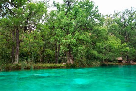 Schöner Flusshintergrund im tropischen Wald mit blauem Wasser während des Sommers der Huasteca in El Esalto del Meco Mexiko, Touristenziel