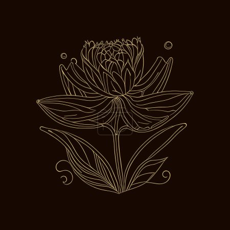 Lotus. Hand drawn flower vector illustration in doodle style.