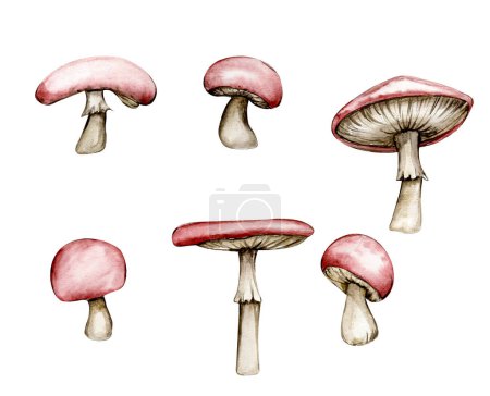 Téléchargez les photos : Watercolor illustration with red mushroom. Hand drawn element. Forest cute mushroom isolated on white. Cute hand painted fairy tale illustration for greeting cards, prints, post cards and souvenirs. - en image libre de droit
