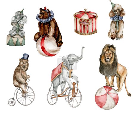 Photo for Watercolor circus set of elements in vintage style. Perfect for wedding, invitations, blogs,card templates, birthday and baby cards, patterns, quotes. isolater on white background.Cute circus animals. - Royalty Free Image