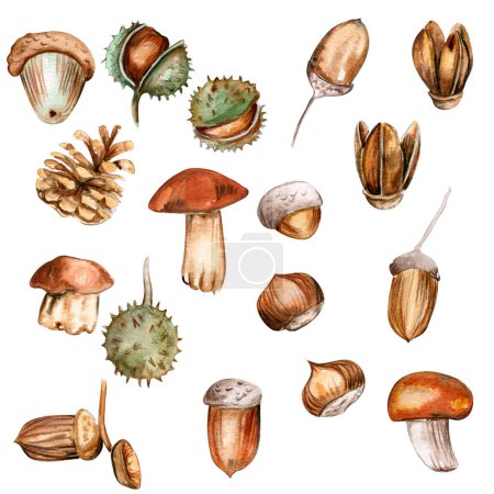Photo for Autumn set of leaves and mushrooms. Hand drawn illustration of autumn. Perfect for scrapbooking, kids design, wedding invitation, posters, greetings cards, party decoration. - Royalty Free Image