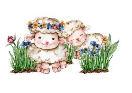 Photo for White fluffy sheeps sitting in the grass with flowers and butterflies. Watercolor hand drawn illustration of farm baby animal . Perfect for greetings card, poster, fabric pattern. - Royalty Free Image