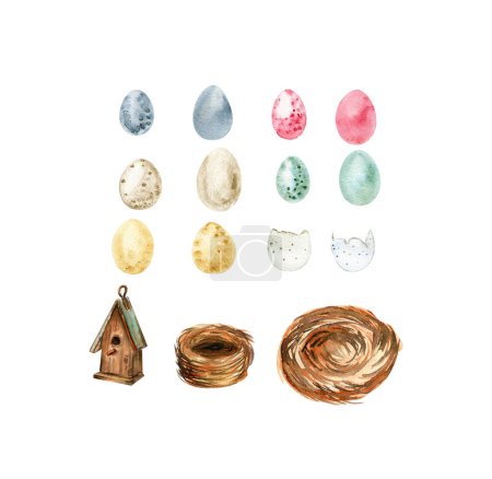 Illustration for Watercolor illustration of Easter empty nest made of brown twigs, wooden birds house and eggs with colorful feathers set, isolated on white background. Watercolor hand drawn illustration. Post card - Royalty Free Image