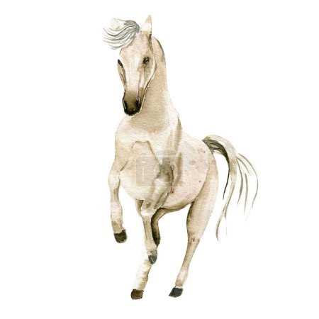 Acuarela mano dibujado lindo caballo blanco sobre el fondo blanco. Ilustración de caballos. Pintura en acuarela de un caballo galopante. Perfecto para tarjetas de felicitación, póster, invitación y decoración de fiestas.