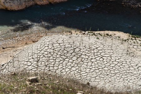Dürre in Spanien, Fluss Congost de Mont Rebei mit trockenem Sand, niedriger Fluss mit trockenen Bäumen, globale Erwärmung