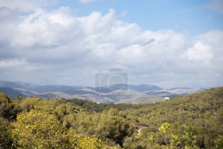 Paisaje de pinetree forest y montañas y mar al fondo, Sitges, Montañas del Garraf