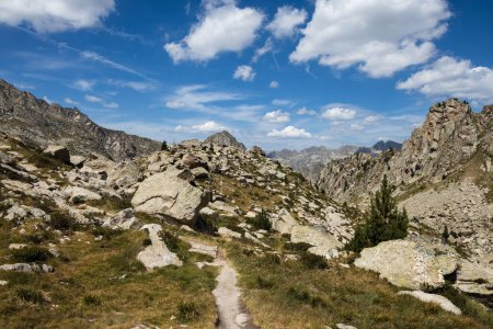 Beau paysage du parc naturel d'Aigestortes y Estany de Sant Maurici, vallée des Pyrénées avec rivière et lac