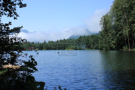 Téléchargez les photos : Forêt naturelle lac paysage photo - en image libre de droit