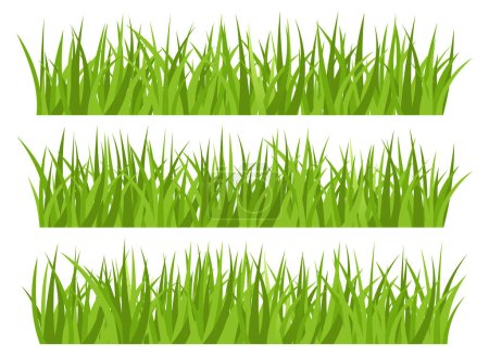 Illustration for Green grass vector design illustration isolated on white background - Royalty Free Image