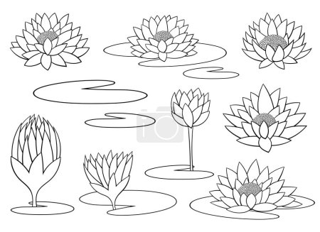Téléchargez les illustrations : Illustration de conception vectorielle de fleurs de nénuphar isolé sur fond - en licence libre de droit