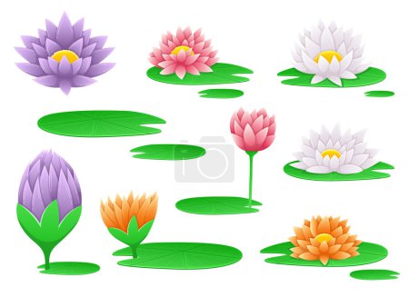 Téléchargez les illustrations : Illustration de conception vectorielle de fleurs de nénuphar isolé sur fond - en licence libre de droit