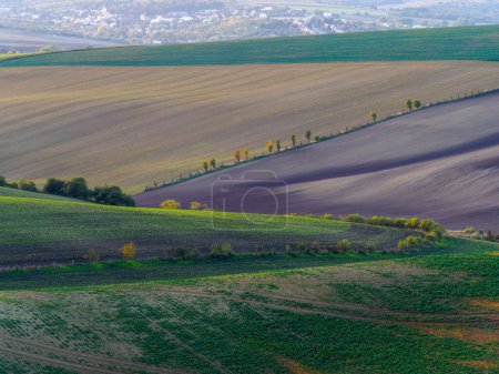 Photo for Spring farmland in the hills of Morvia in Czech Republic.. - Royalty Free Image