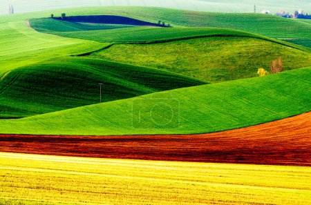 Photo for Green hills in moravia - Royalty Free Image