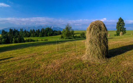 Photo for Haystack  on a mowed meadow. Haymaking in Podhale. - Royalty Free Image