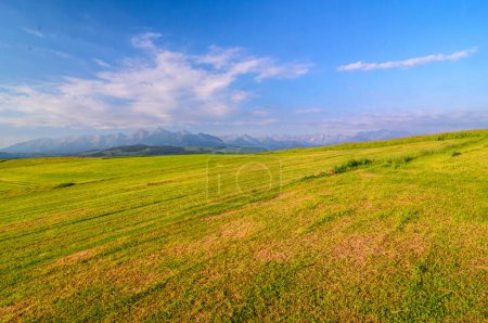 Photo for Picturesque meadow, in the distance you can see the peaks of the Tatra Mountains - Royalty Free Image
