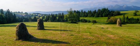 Photo for Haystacks  on a  on a mowed meadow. Haymaking in Podhale. - Royalty Free Image