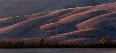 Photo for Rural landscape. Tuscany in the light of the setting sun. - Royalty Free Image