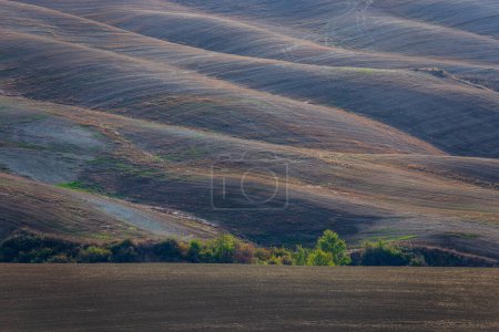 Photo for Rolling farmland in Tuscany. Beautiful light of the setting sun. - Royalty Free Image