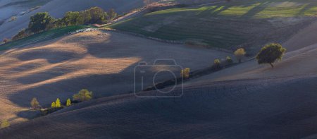 Photo for Rural landscape in Val d'Orcia, Tuscany, Italy - Royalty Free Image