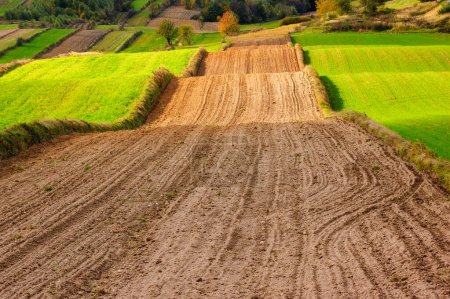 Photo for Rural landscape with plowed agricultural field in a sunny day. - Royalty Free Image