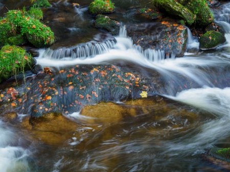 Photo for Waterfall in Karkonosze National Park. Mountain river "Kamienna" in autumn. - Royalty Free Image