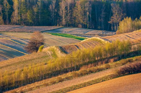 Landschaft. Landwirtschaftliche Felder im Frühling. Roztocze. Polen.