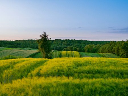 Landschaft. Landwirtschaftliche Flächen im Sommer. Roztocze. Polen.
