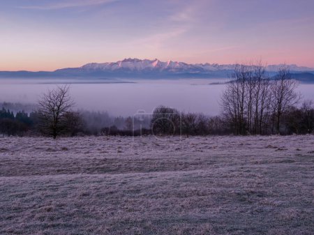 Photo for Landscape in the morning. There is fog in the valley. View of the Tatra Mountains from the Pieniny Mountain Range - Royalty Free Image