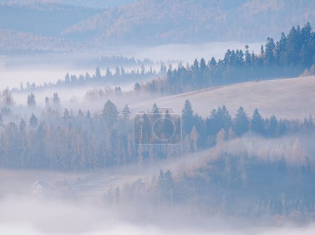 Photo for Landscape in the morning. View of the valley shrouded in fog. Slovakia. - Royalty Free Image