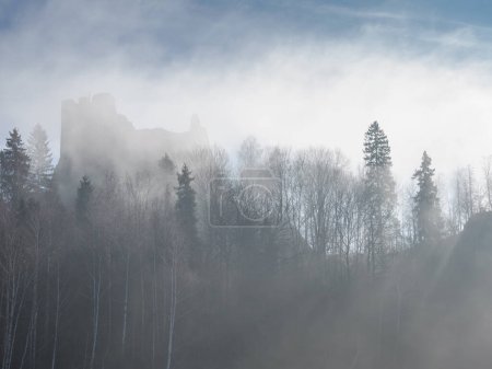 Photo for Czorsztyn. Malopolskie. Poland. 02/16/2024. Landscape in the morning. Czorsztyn Castle on the hills, among the trees, shrouded in the rising morning fog. - Royalty Free Image