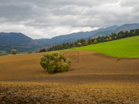 Photo for Autumn Mountain Landscape. View of the Low Tatras. Zilina Region. Beszeniowa. Slovakia. - Royalty Free Image