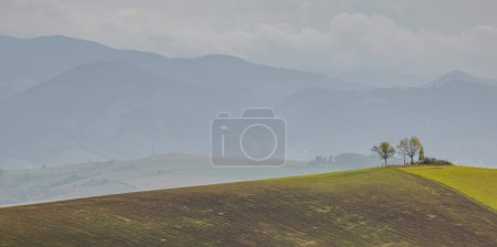 Mountain landscape. In the foreground two trees on hill. In the distance you can see the Low Tatras Zilina Region. Liptovske Matiasovce. Slovakia.