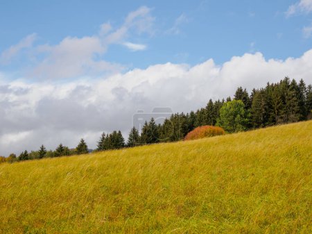 Photo for Autumn Mountain Landscape.. Hoczanskie Mountains Range. Zilina Region. Beszeniowa Slovakia. - Royalty Free Image