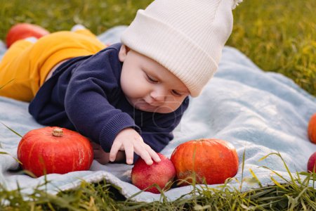 Photo for A cute little adorable baby girl in puff ball hat is sitting on the ground in the park with a pumpkin smiling and Playing. Happy childhood concept. looking at the camera. High quality photo - Royalty Free Image