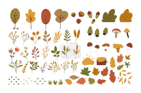 Photo for Set of autumn botany elements in cute hand drawn flat style, isolated on white background. Fall season nature - trees, leaves, mushrooms and flowers. - Royalty Free Image